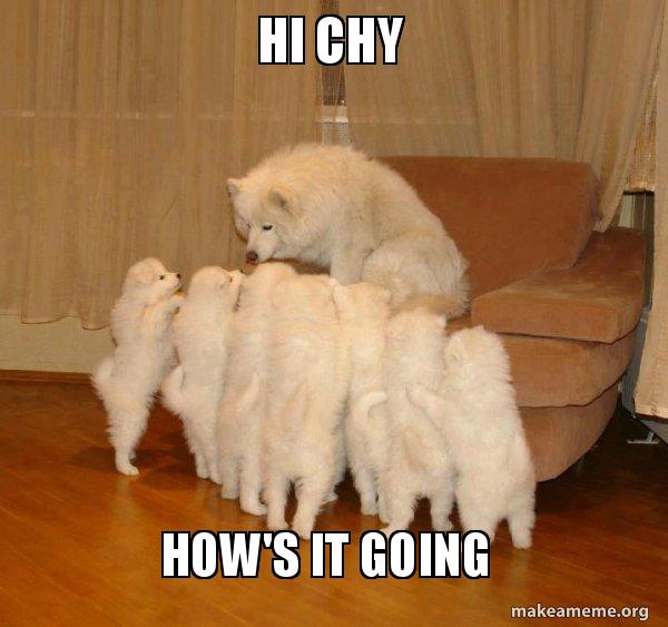Hi Chy How S It Going Storytelling Dog Make A Meme