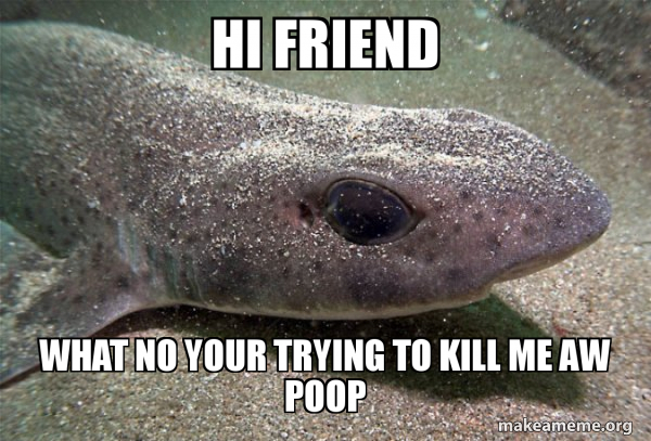 Dirty Joke Dogfish meme