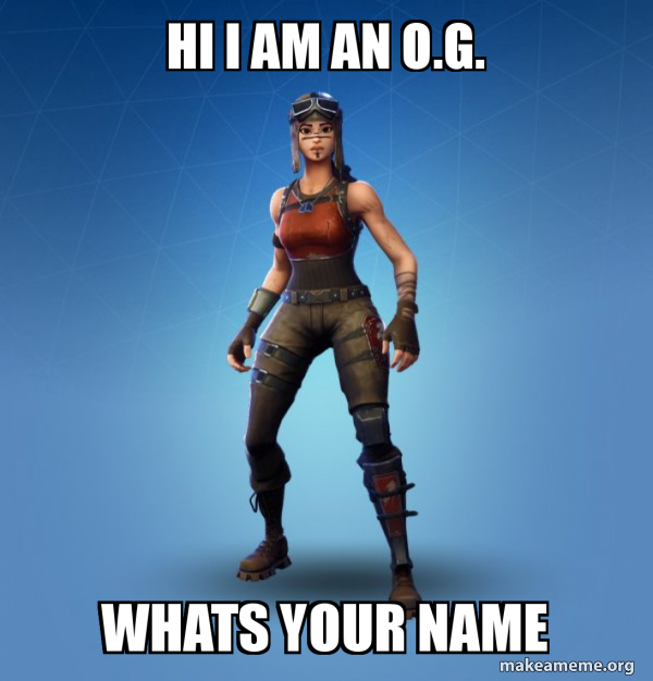 Renegade Raider Fortnite Skin meme