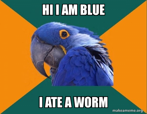 Paranoid Parrot meme