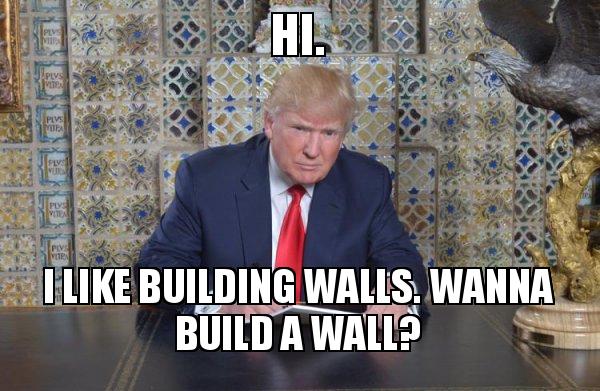Wall Building Memes Border Wall Construction Company USA Trump Funny