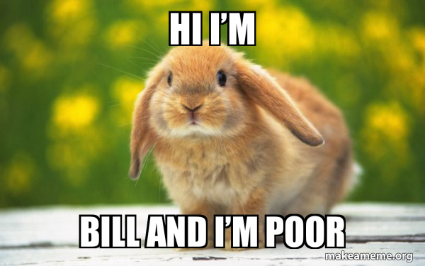 Regretful Rabbit meme