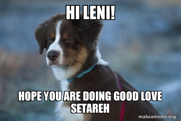 Unsure Dog meme