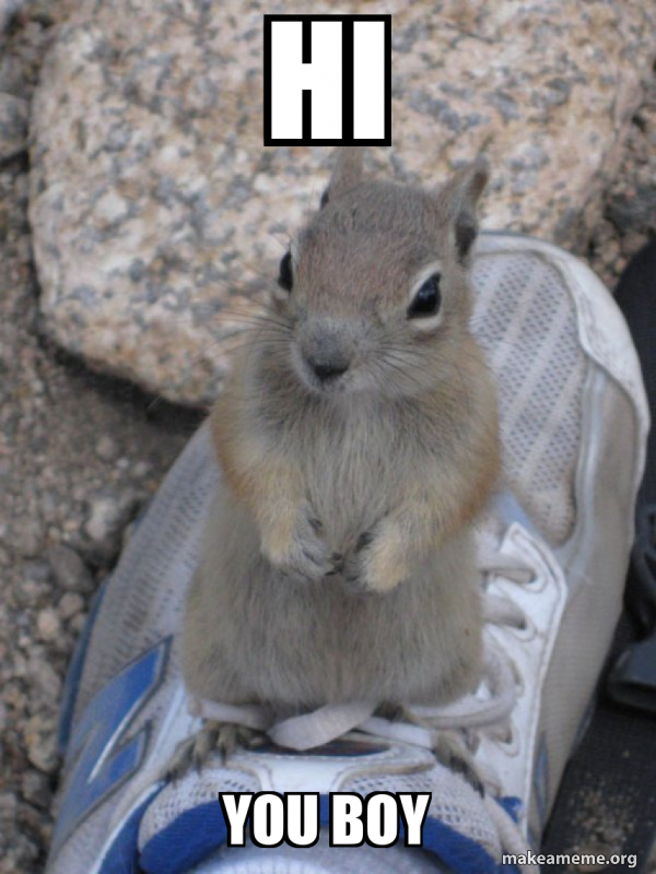 Standover Squirrel meme