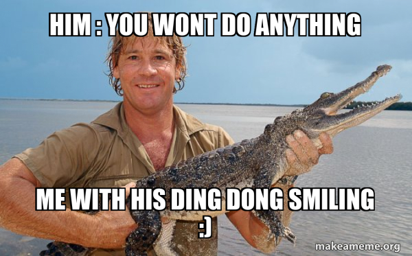 Steve irwin meme