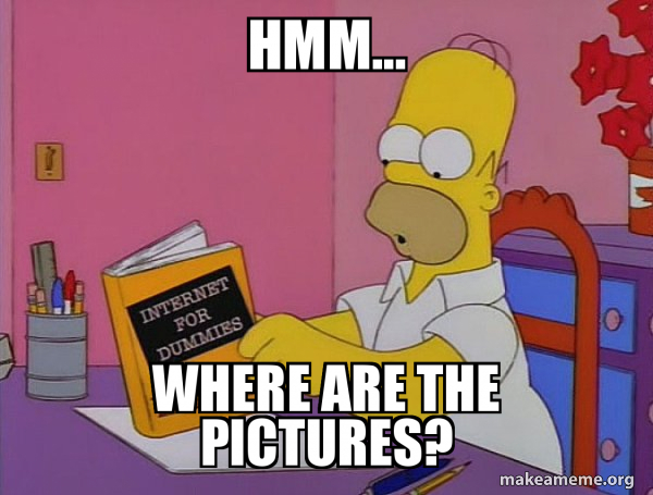 Internets Homer meme