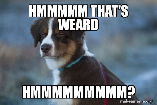 Unsure Dog meme