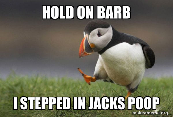 Hold on Barb I stepped in Jacks poop - Unpopular Opinion Puffin Meme ...