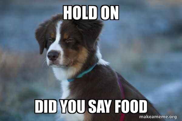 Unsure Dog meme