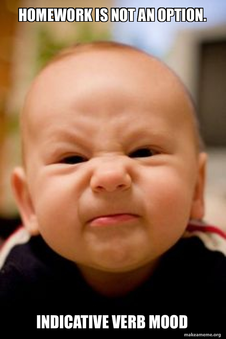 HOMEWORK IS NOT AN OPTION. Indicative verb mood Meme Generator