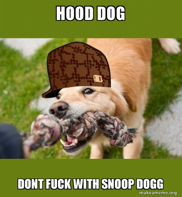 HOOD DOG DONT FUCK WITH SNOOP DOGG Scumbag dog Make a Meme