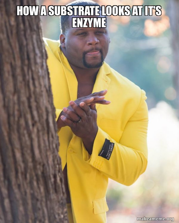 how a substrate looks at it's enzyme Anthony Adams in Yellow Suit
