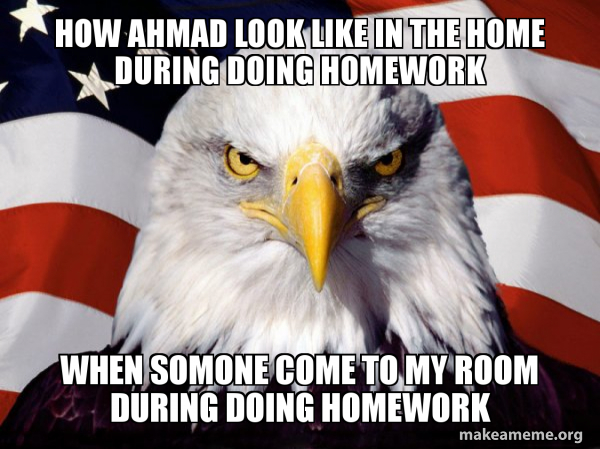 American Pride Eagle meme