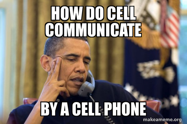 Obama Ordering a Pizza (on the phone) meme