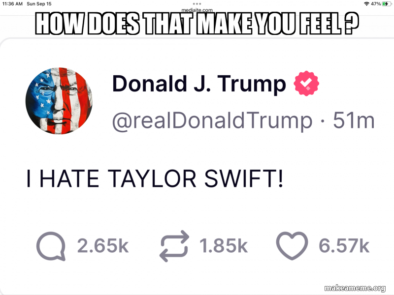 How does that make you feel ? Meme Generator