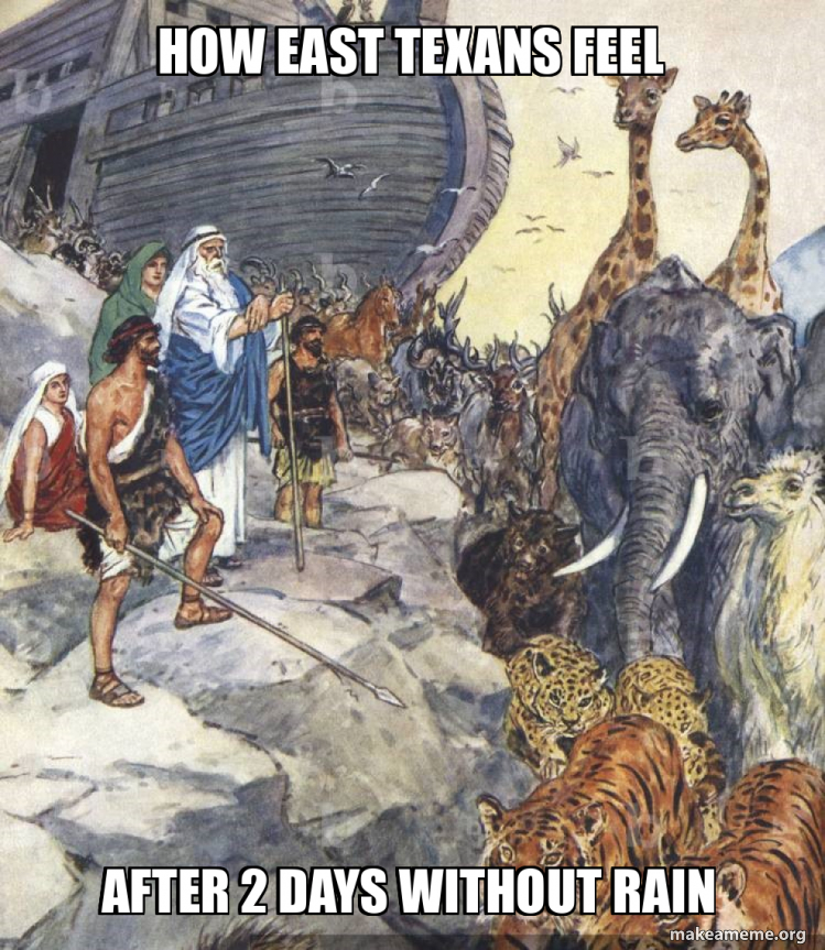 Days Without Rant Meme how east texans feel after 2 days without rain Meme Generator