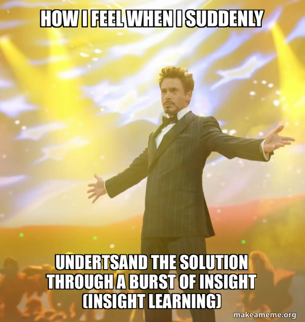 how I feel when I suddenly undertsand the solution through a burst of ...