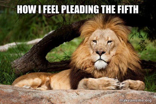 Contemplative Lion meme