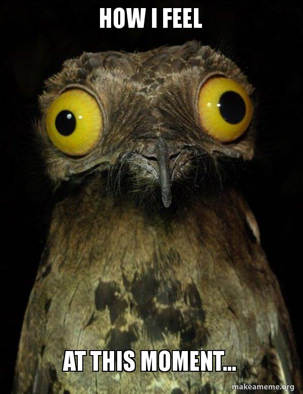 how-i-feel-eenmgo.jpg