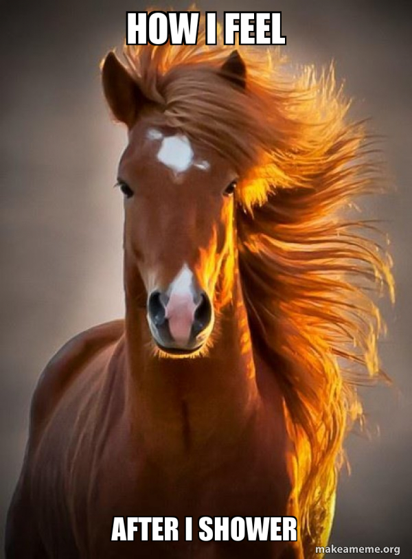 Ridiculously photogenic horse meme