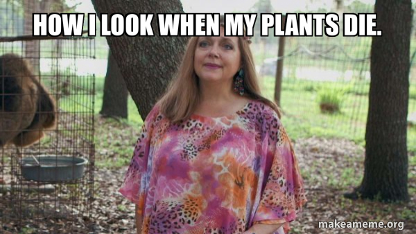 Carole Baskins (Carol ?) meme