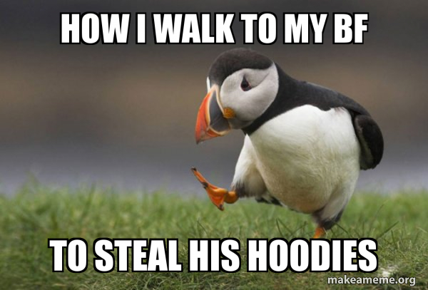 Unpopular Opinion Puffin meme