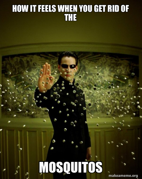 Get Rid Meme How it feels when you get rid of the mosquitos - Neo Stopping Bullets ...