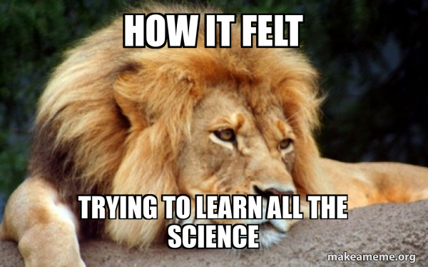 Confession Lion meme