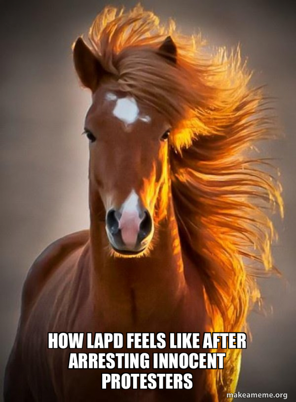 Ridiculously photogenic horse meme
