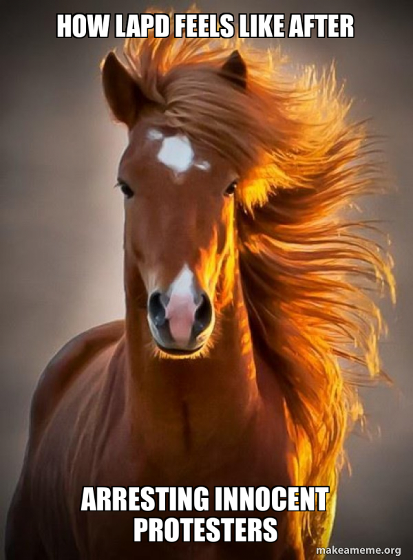 Ridiculously photogenic horse meme