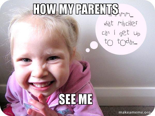 How My Parents See Me Make A Meme