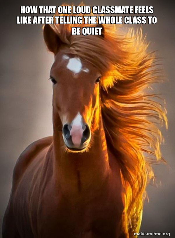Ridiculously photogenic horse meme