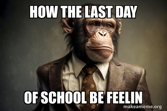 Last Class Mem How the last day of school be feelin Meme Generator