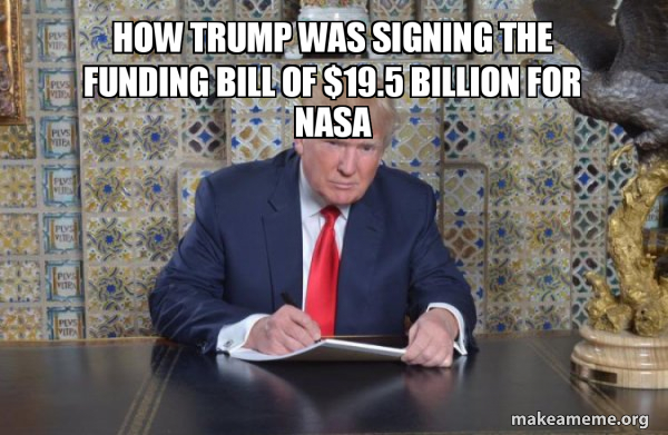 Type my esl custom essay on donald trump image