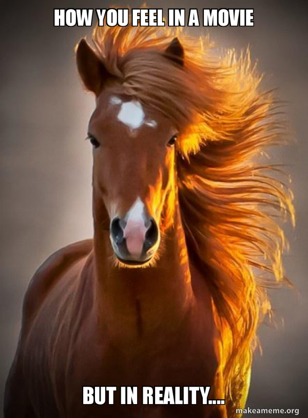 Ridiculously photogenic horse meme