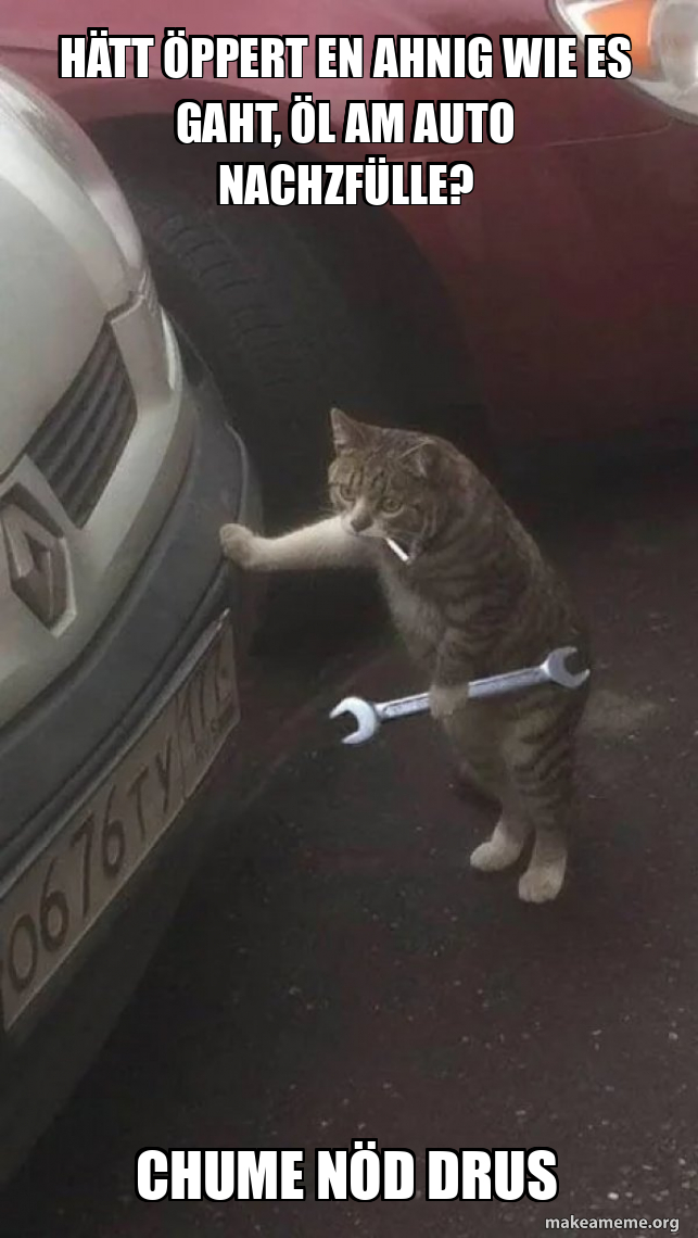 Hätt öppert en Ahnig wie es gaht, Öl am Auto nachzfülle? Chume nöd drus ...