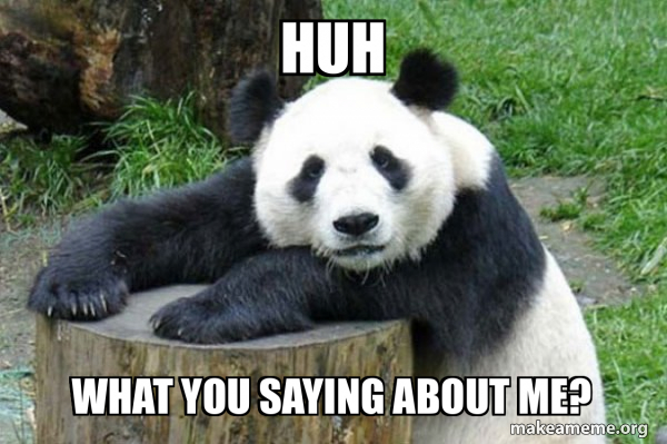 Confession Panda meme