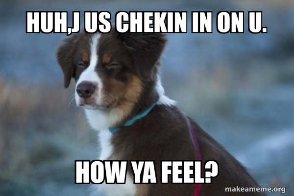 Unsure Dog meme