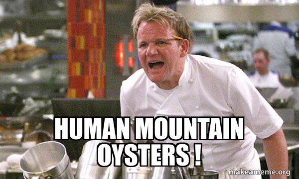 Gordon Ramsay Hell's Kitchen meme