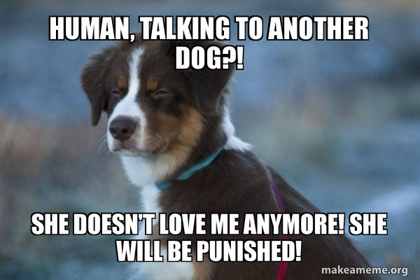 Unsure Dog meme