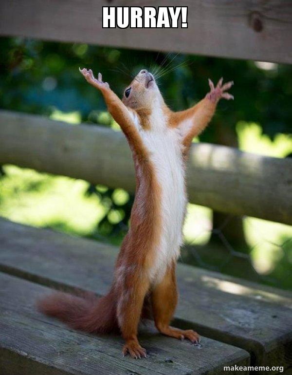 hurray-5c0b9d.jpg