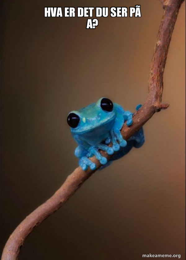 Small Fact Frog meme