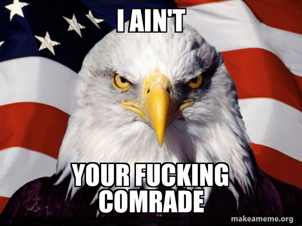 American Pride Eagle meme