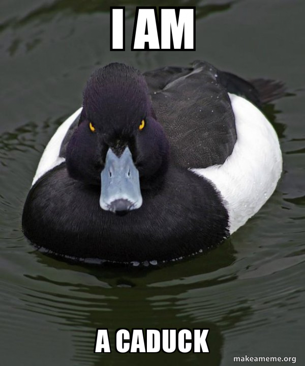 Revenge Duck ( Angry Advice Duck ) meme