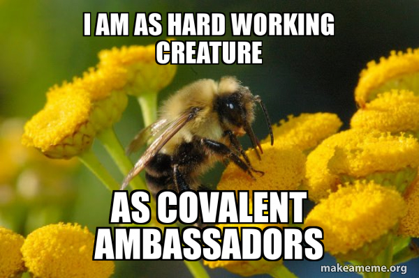 Good Guy Bee meme