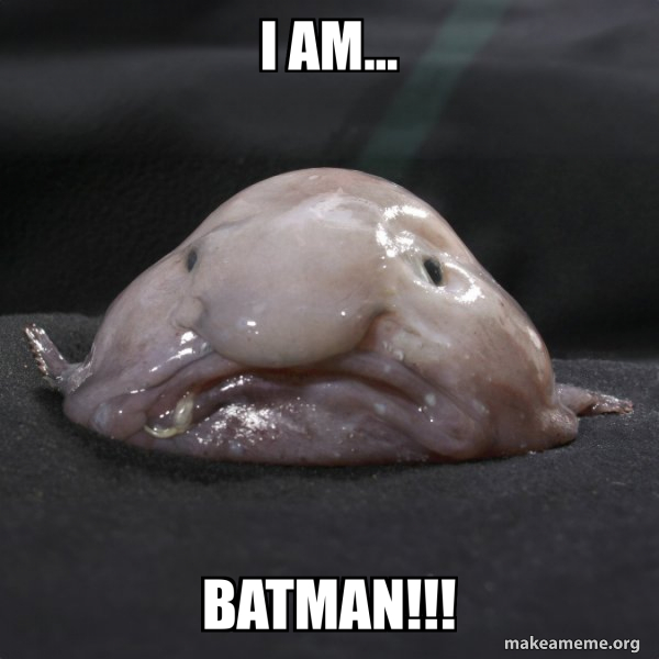 I AM... BATMAN!!! - Blobfish Meme Generator
