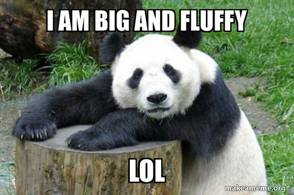 Confession Panda meme