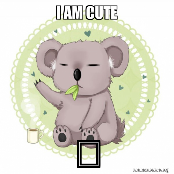 Aussie Koala doing the night shift meme