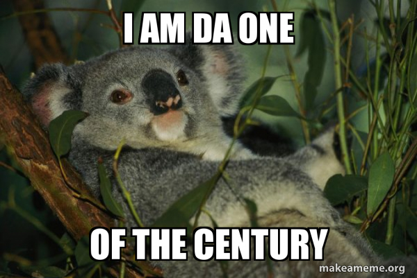 Laid Back Koala meme