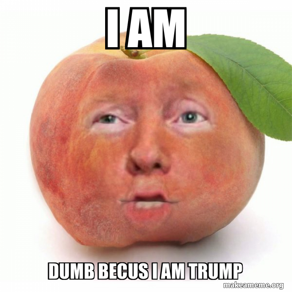 Impeached Donald Trump meme